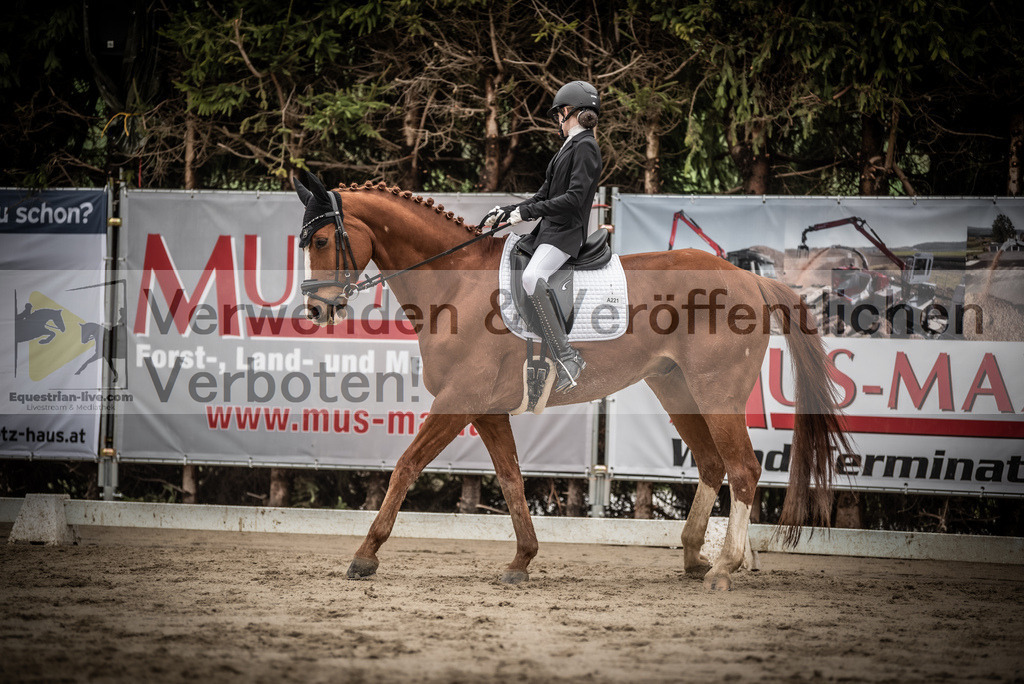 DSC_0185 | equestrian-live-com