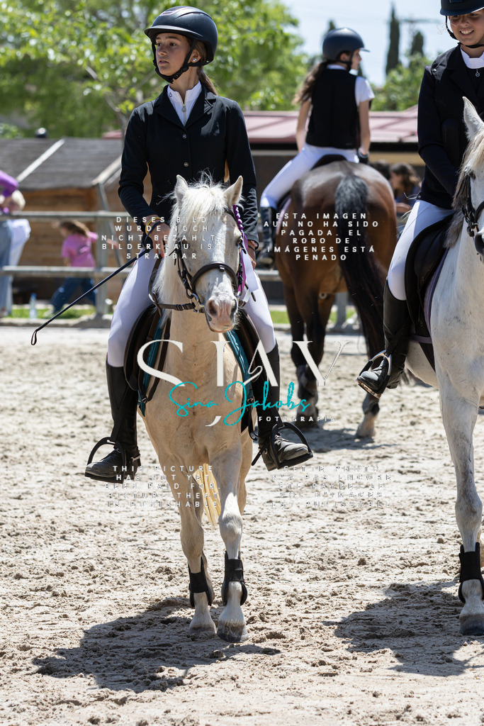 IMG_7026 | s-jay-photography - Realisiert mit Pictrs.com