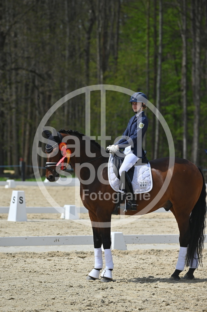 DSC_2612 | sattelsport - Realisiert mit Pictrs.com