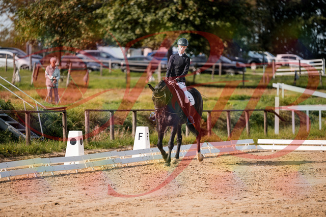 2026_10_03_Siefer-Hof_115459_Z63_30285284 | Professionelle Reitsport-, Turnier- und Eventfotografie von Robert Broda. Galerien mit ausgewählten und bearbeiteten Bildern direkt online ansehen und bestellen.