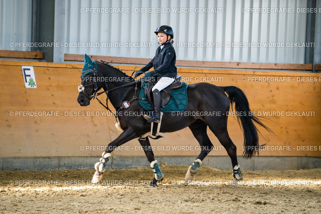 DSC01611 | Pferdegrafie