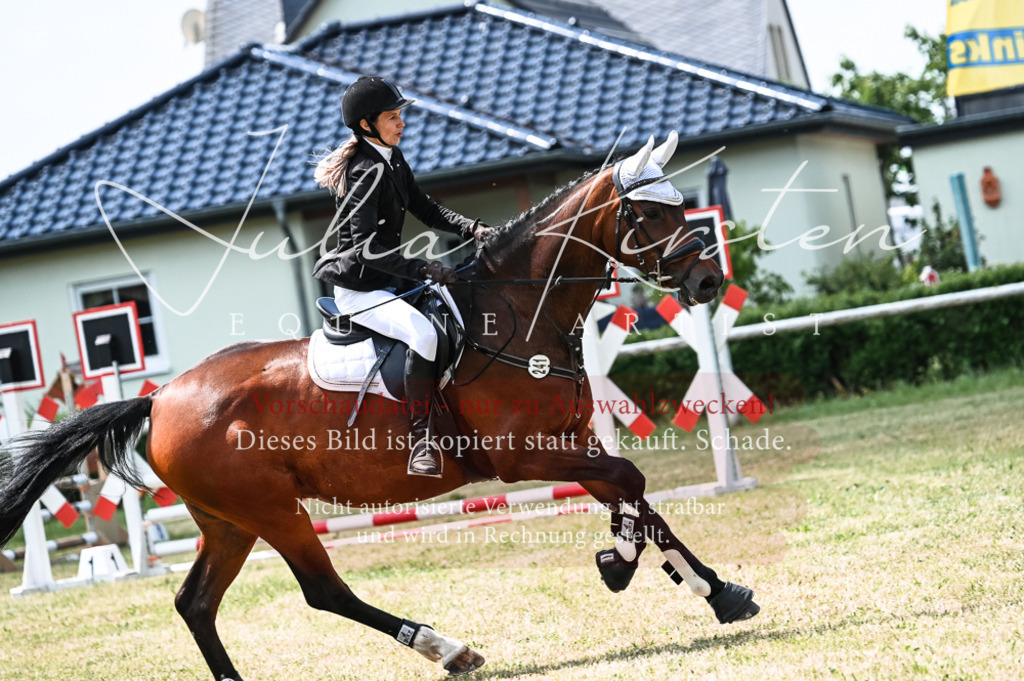 DSC_9388 | Pferde- und Turnierfotografie in Westsachsen. Pferdeportraits, Auftragszeichnungen und intuitive Kunst.