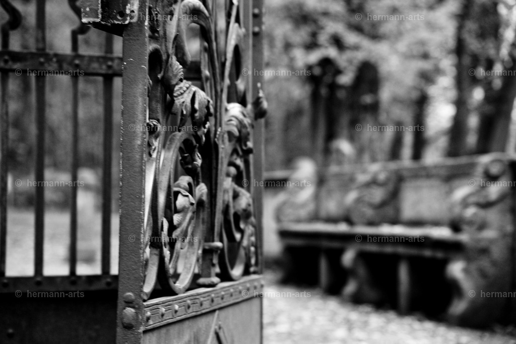 Hermann-Arts_Barockes Tor_007 | Photo Foto Kunst Art schwarzweiss Bilder Rheine Münster Berlin Blumen 