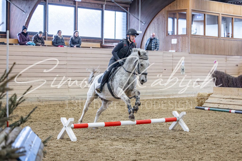 20260221-_3LI9551 | Tierfotografie Pferde, Hunde, Katzen, Haustiere.
Turnierfotografie Reitturniere, Reiten, Springreiten, Dressur in Hanau, dem Main-Kinzig-Kreis und dem Rhein-Main- Gebiet um Frankfurt