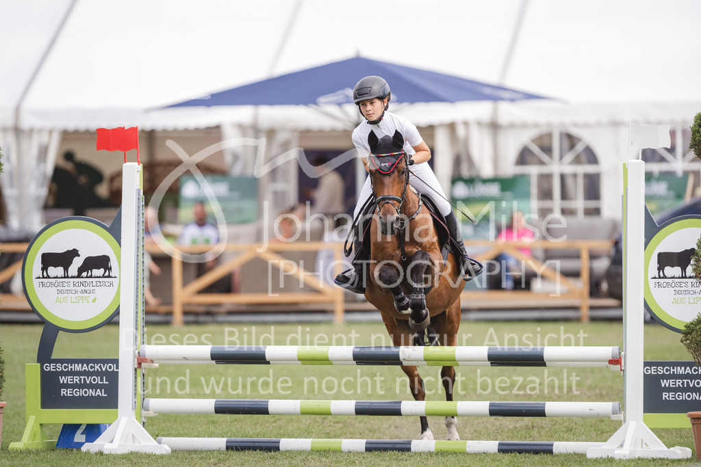 230714_LC_Mini-219 | Deine schönsten Turniermomente als professionelle Fotos! Entdecke hochwertige Pferdesport-Fotografie im Online-Shop. Jetzt Fotos finden & bestellen!