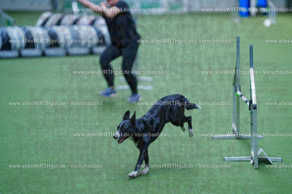 @allesWIRTHgut_Tierfotografie - www.allesWIRTHgut.de - 2604261348-7R502710 | Professionelle Tierfotografie in Mönchengladbach von Daniel Wirth (allesWIRTHgut). Liebevolle & natürliche Bilder von Hunden & Katzen für unvergessliche Erinnerungen.