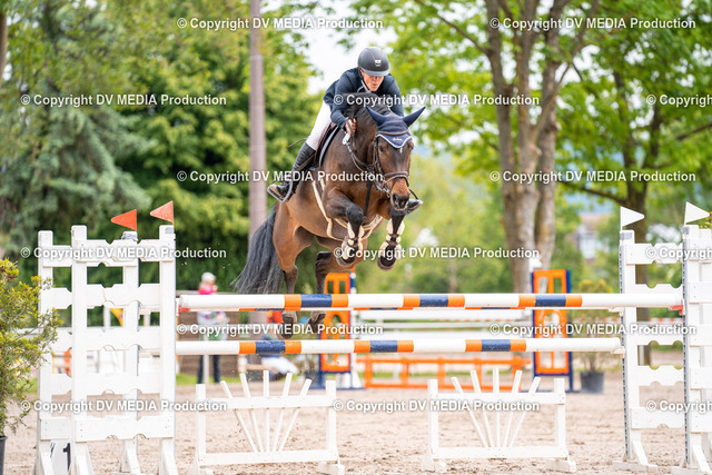 Eppelheim Tag 2-286 | dv-media-shop - Realisiert mit Pictrs.com