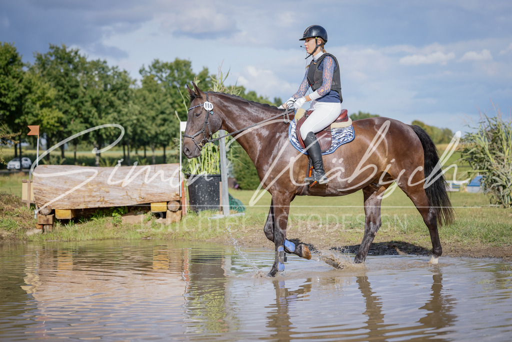 20250905-_3LI1547 | Tierfotografie Pferde, Hunde, Katzen, Haustiere.
Turnierfotografie Reitturniere, Reiten, Springreiten, Dressur in Hanau, dem Main-Kinzig-Kreis und dem Rhein-Main- Gebiet um Frankfurt