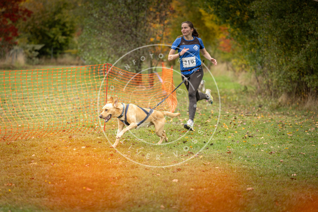 Pfotenfotografie_DV3A4657 | Hundefotografie, Tierfotograf, Pfotenfotografie, Fotoshooting Hund, Hunde Portrait, Hundesport, Hundeportraits, Heideshooting, Hunde, Sportfotograf, Hundefotograf, Turnierhundsport, THS,  - Realisiert mit Pictrs.com