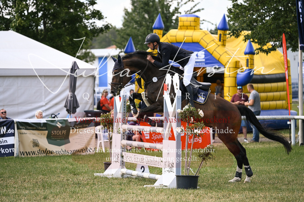 DSC_0838 | Pferde- und Turnierfotografie in Westsachsen. Pferdeportraits, Auftragszeichnungen und intuitive Kunst.