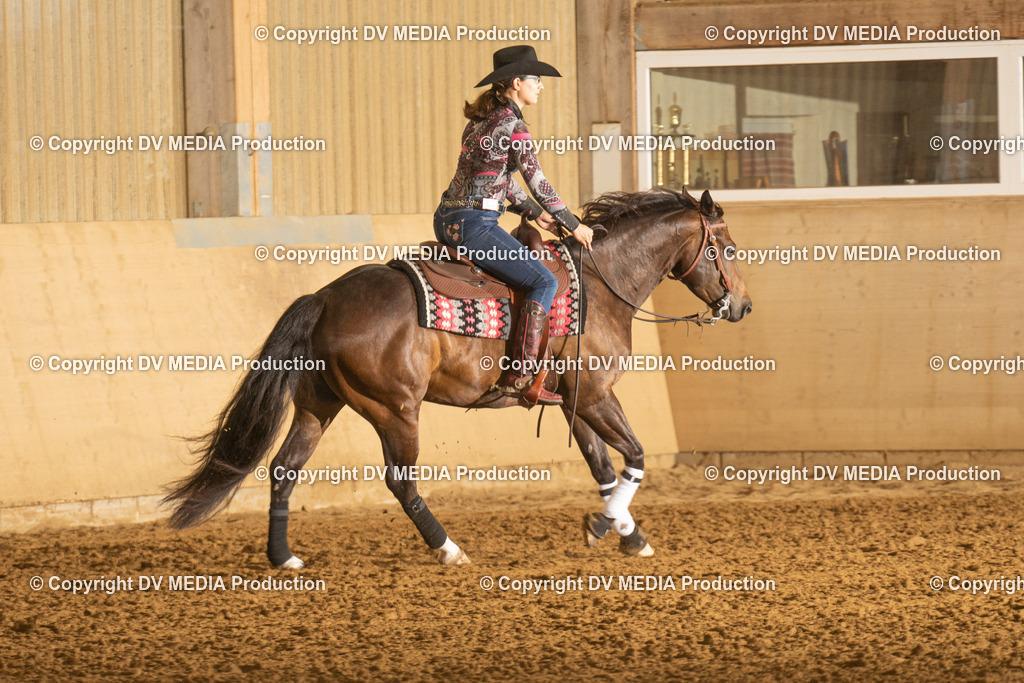 LAU00259 | dv-media-shop - Realisiert mit Pictrs.com