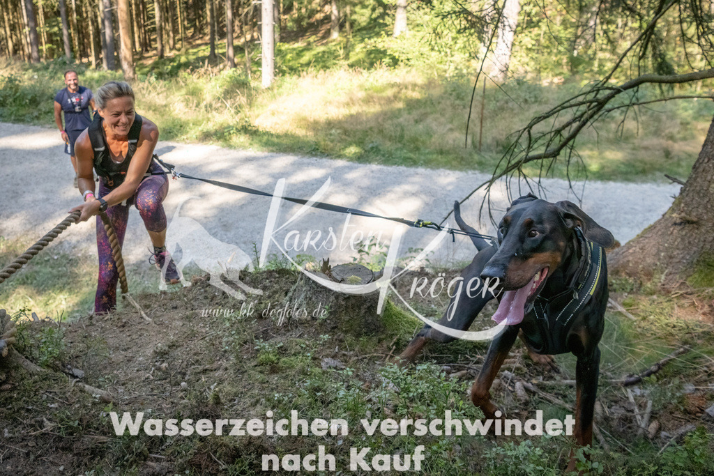 1227_ZZ94599 | kk-dogfotos
