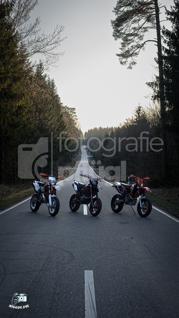 IMG_0294 | fotografie-pfluegl - Realisiert mit Pictrs.com