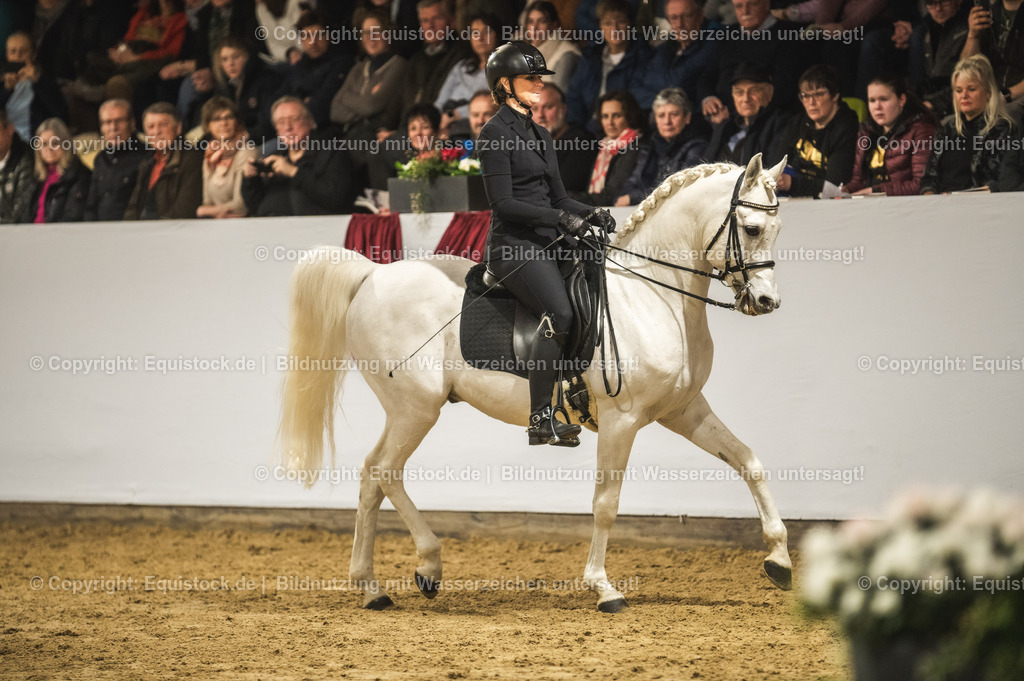 20240302_Hengstvorstellung_Marbach_TOMsPiC_1092-2 | equistock