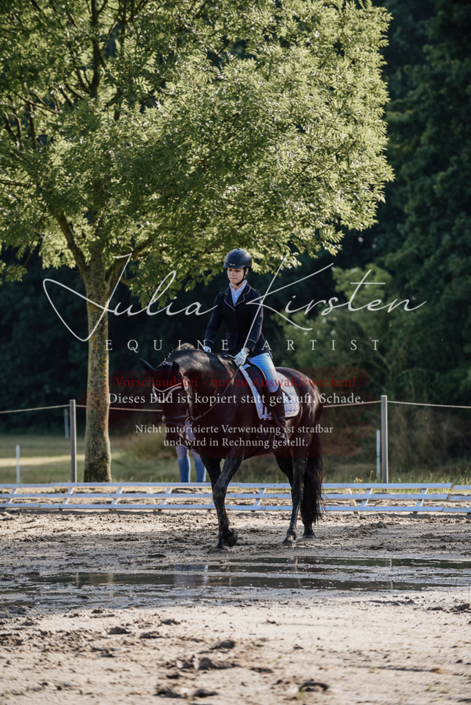 DSC_7778 | Pferde- und Turnierfotografie in Westsachsen. Pferdeportraits, Auftragszeichnungen und intuitive Kunst.