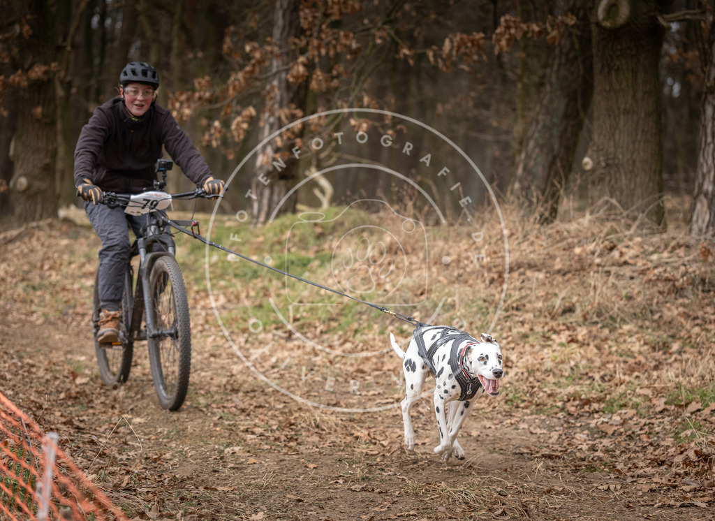 Pfotenfotografie_DV3A1964 | Hundefotografie, Tierfotograf, Pfotenfotografie, Fotoshooting Hund, Hunde Portrait, Hundesport, Hundeportraits, Heideshooting, Hunde, Sportfotograf, Hundefotograf, Turnierhundsport, THS,  - Realisiert mit Pictrs.com