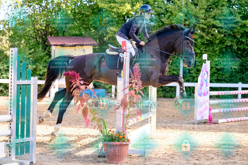 30082026-Giesenbach-Prfg16-0139 | Fokus Hufschlag Fotografie - Realisiert mit Pictrs.com