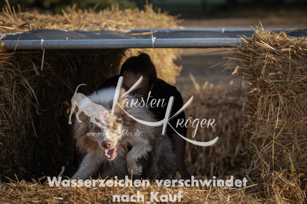 0948_ZZ94899 | kk-dogfotos