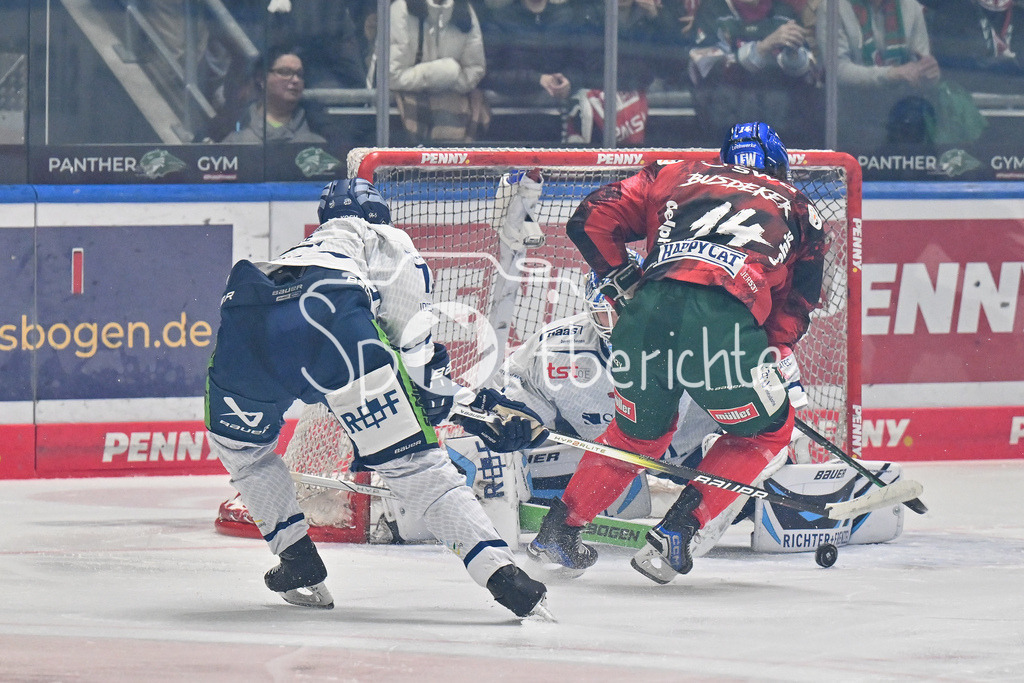 Augsburger Panther - Straubing Tigers | in dieser Szene bringt D. J. BUSDEKER (Augsburger Panther #14) den Puck nicht im Tor der Gaeste unter / DEL: Augsburger Panther - Straubing Tigers, Curt Frenzel Stadion am 29.11.2024