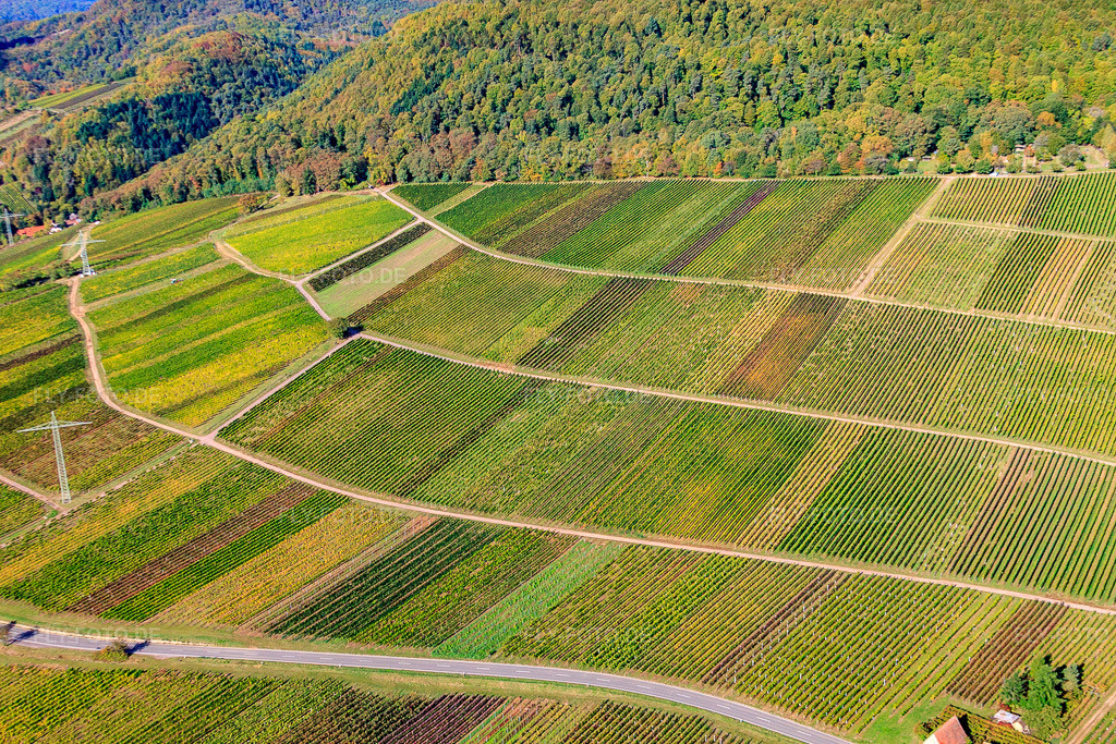 Luftbild: Weinlage Haardtrand-Käfernberg in Albersweiler im Bundesland Rheinland-Pfalz in Deutschland. Foto: IMG_22293.jpg vom 15.10.2009 durch Werner Riehm/FLY-FOTO.de