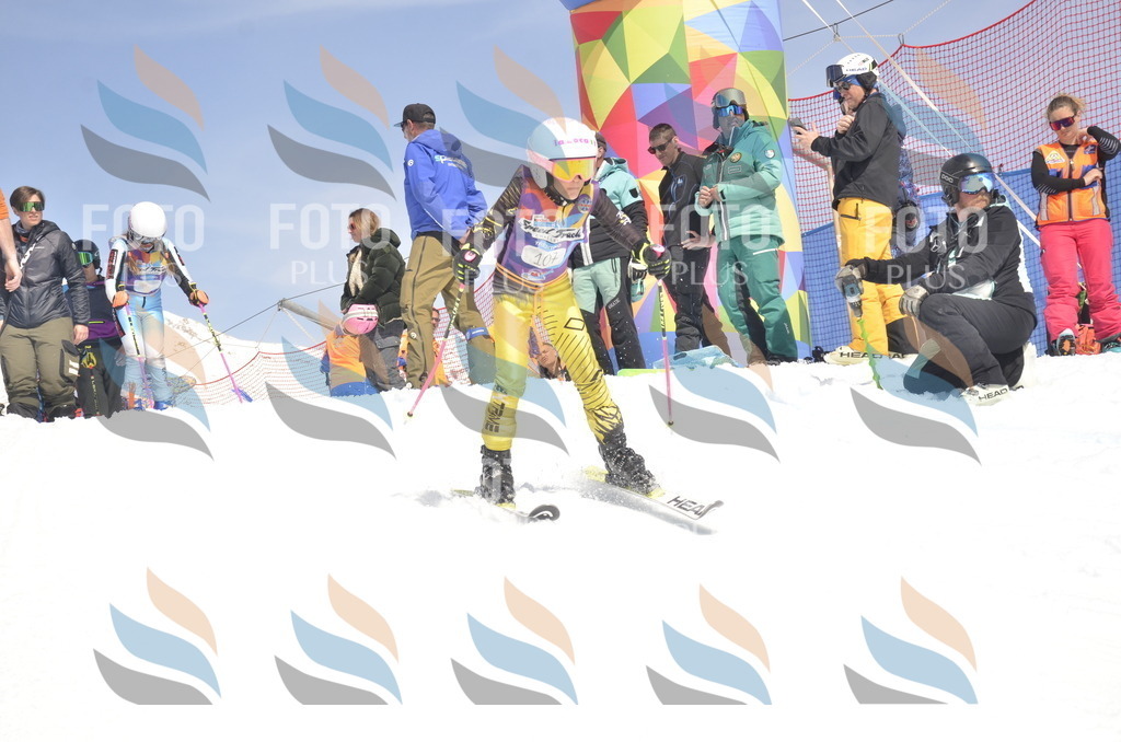 _ELE9434 | holidayphoto