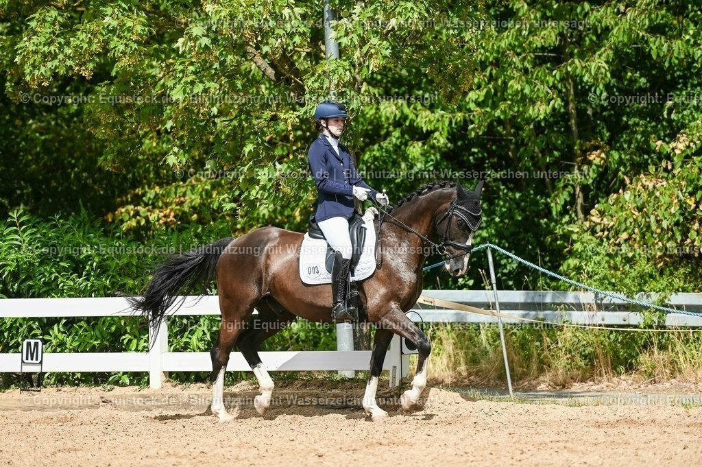 20230715_02_Dressurreiterprüfung Kl.L_0273 | equistock