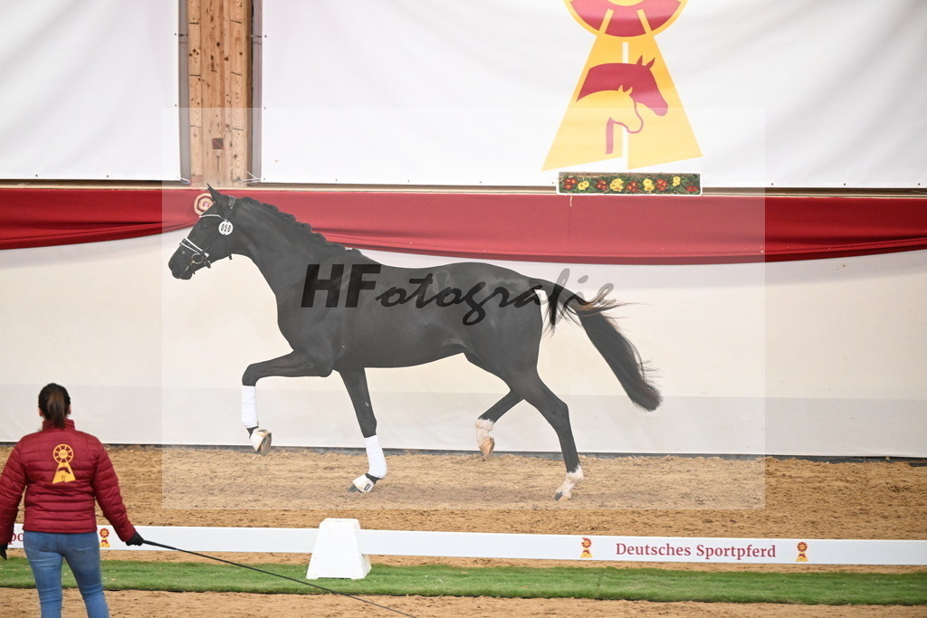 Kat.-Nr. 50 v. Donier_Meyer_2250192 | hf-fotografie - Realisiert mit Pictrs.com
