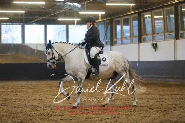 IMG_8209 | Turniersportfotografie; Pferdefotografie; Dressurfotografie