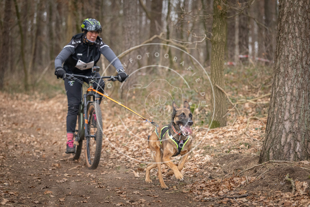 Pfotenfotografie_DV3A6375 | Hundefotografie, Tierfotograf, Pfotenfotografie, Fotoshooting Hund, Hunde Portrait, Hundesport, Hundeportraits, Heideshooting, Hunde, Sportfotograf, Hundefotograf, Turnierhundsport, THS,  - Realisiert mit Pictrs.com