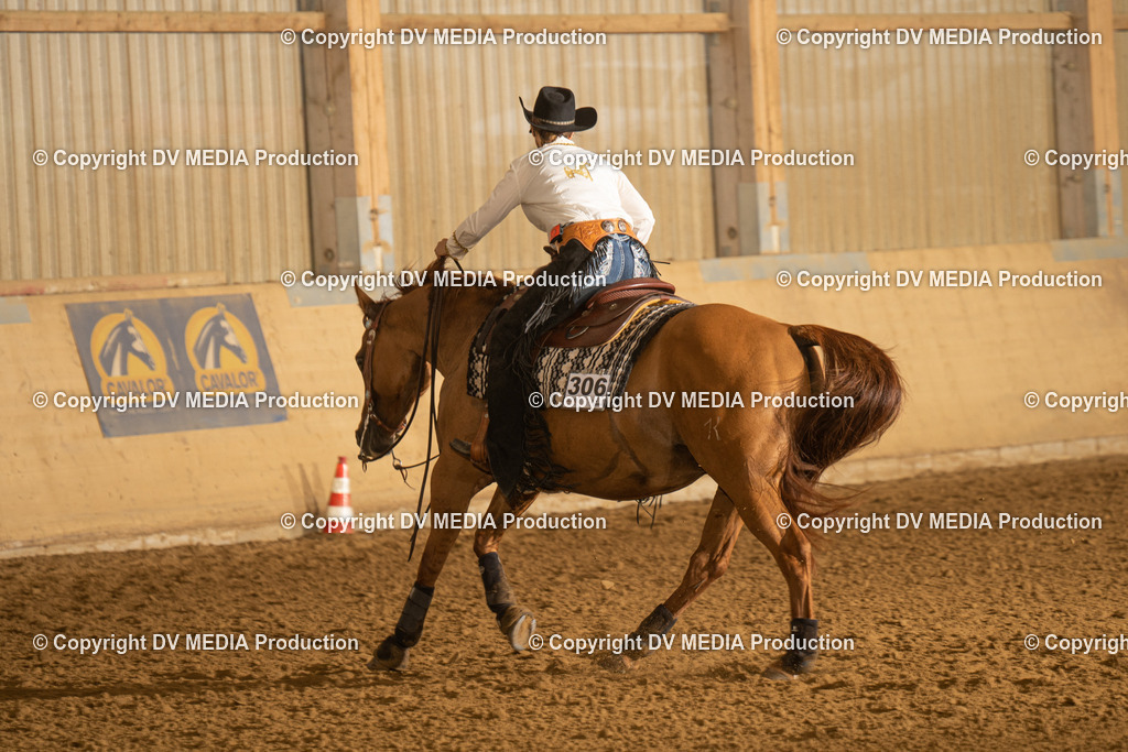 LAU00196 | dv-media-shop - Realisiert mit Pictrs.com