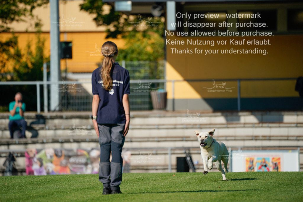 Samstag_Gehorsam_V2 (59) | stephaniefillaphotographie - Realisiert mit Pictrs.com