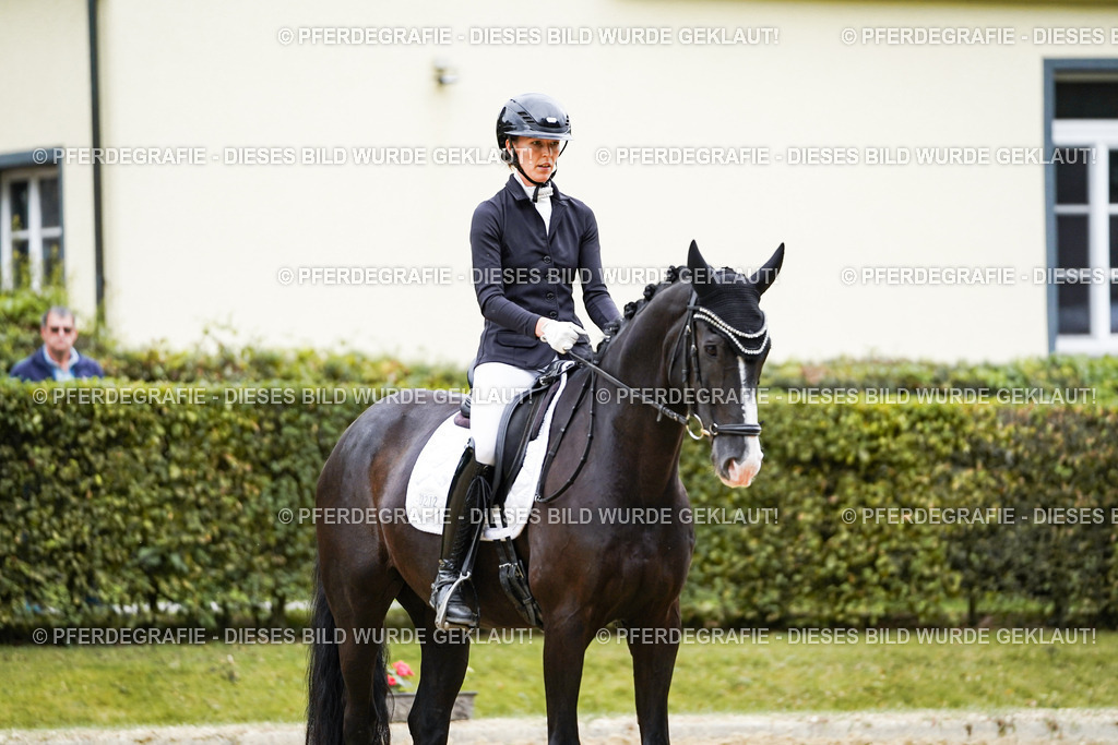 DSC09679 | Pferdegrafie