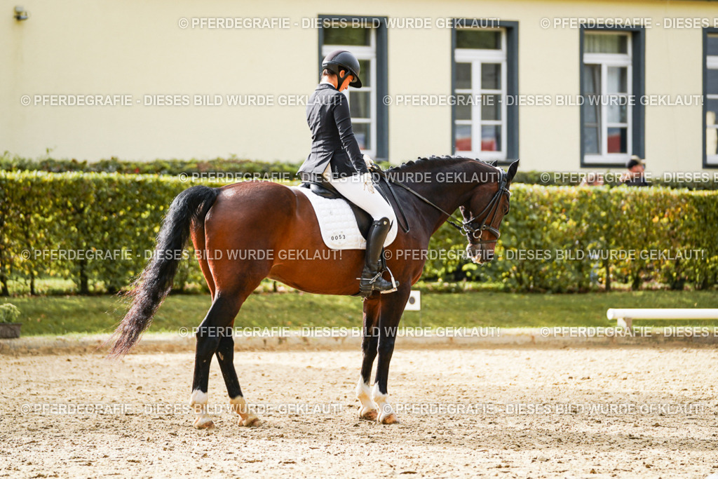 DSC09796 | Pferdegrafie