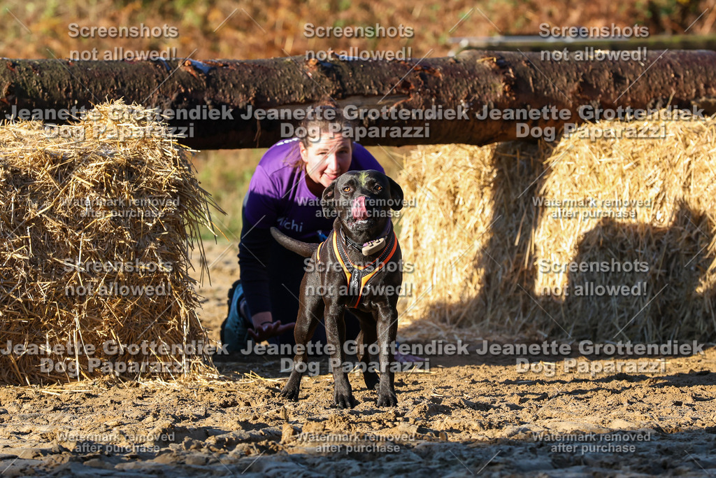 Dog Paparazzi - Strongdog 10-25-1066 | Dog Paparazzi Jeanette Grottendiek Fotografie & Videografie - Realisiert mit Pictrs.com