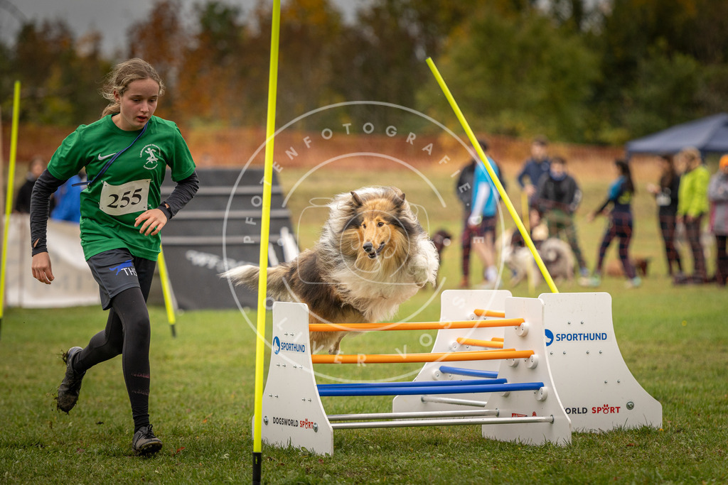 Pfotenfotografie_DV3A6269 | Hundefotografie, Tierfotograf, Pfotenfotografie, Fotoshooting Hund, Hunde Portrait, Hundesport, Hundeportraits, Heideshooting, Hunde, Sportfotograf, Hundefotograf, Turnierhundsport, THS,  - Realisiert mit Pictrs.com