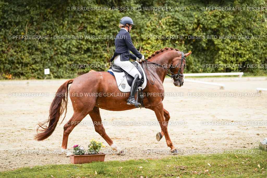 DSC09414 | Pferdegrafie