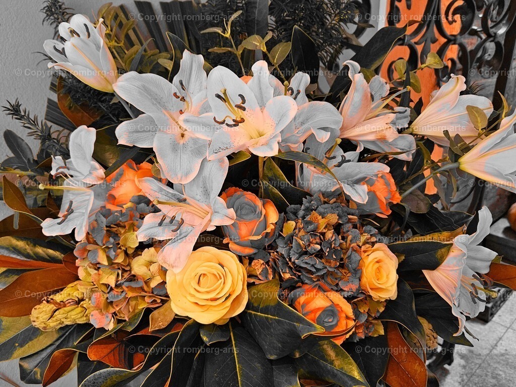 20241112_132629 | romberg-arts, romberg-arts.de, www.romberg-arts.de, Foto_Online_Shop, Julia Fuhrmann, Köln, Fotos, Fotografie, Fotokunst, Kunstdrucke, Naturfotos, Aktfotos, Nacktfotos, schwarz_weiß_Fotos, Blumenfotos, Blumen, Tiere, Beton, Korrosion, Lächeln, Drucke