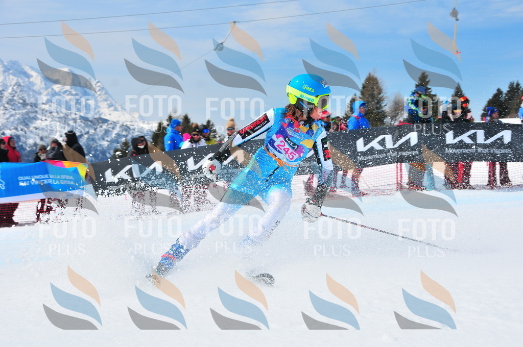 DSC_6036 | holidayphoto