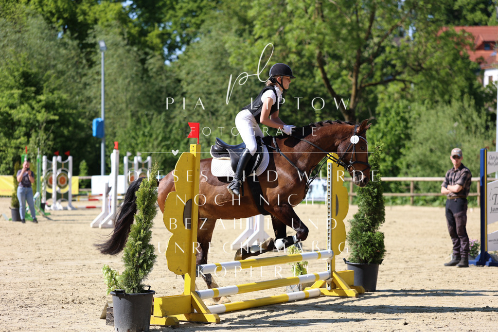 IMGS4672 | pl-fotografie