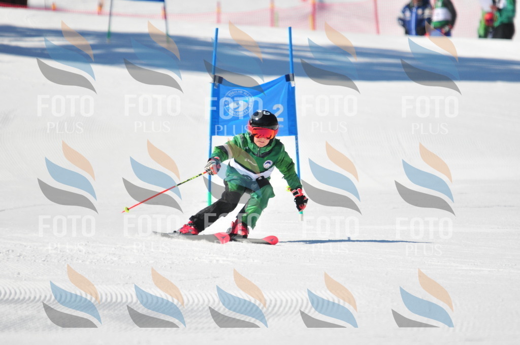 C3161 | holidayphoto