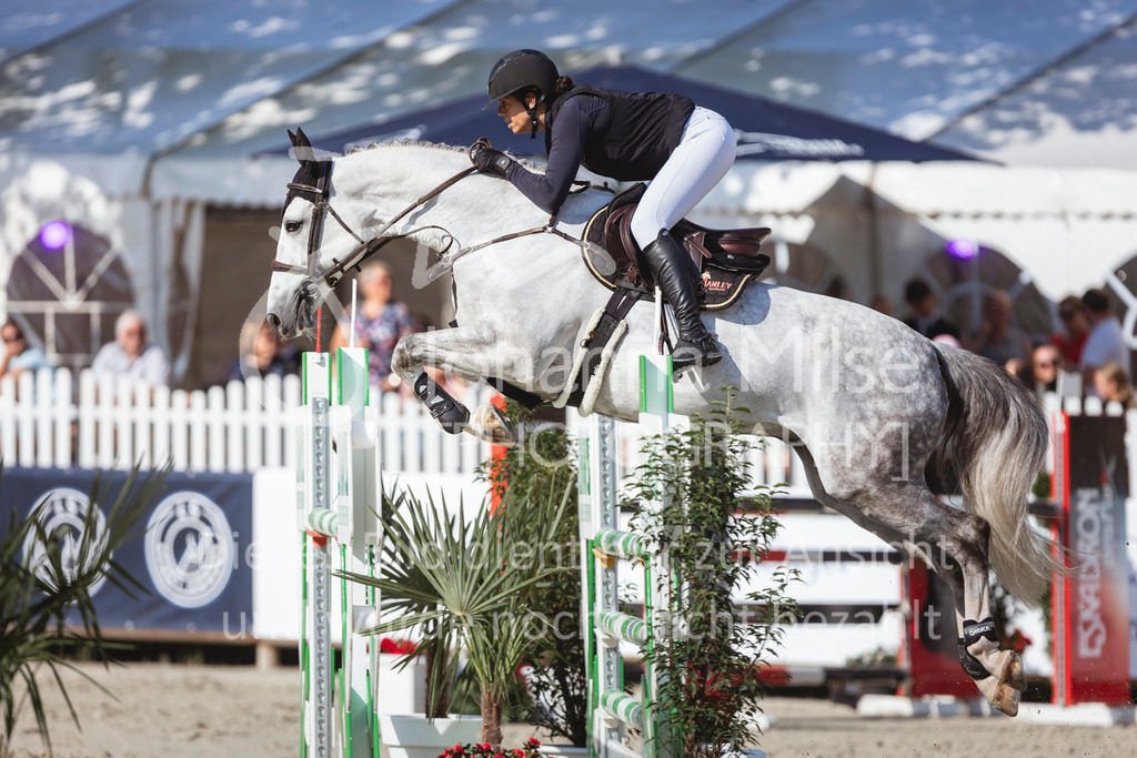 240711_BHO_M1-Spr-1-654 | Deine schönsten Turniermomente als professionelle Fotos! Entdecke hochwertige Pferdesport-Fotografie im Online-Shop. Jetzt Fotos finden & bestellen!