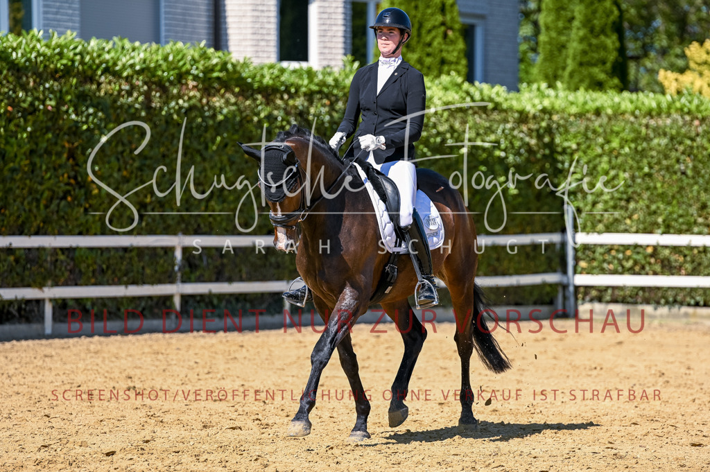 Schugtsche-Aluta25-50.Dressurpferdeprf.L-77 | Schugtsche Fotografie - Realisiert mit Pictrs.com