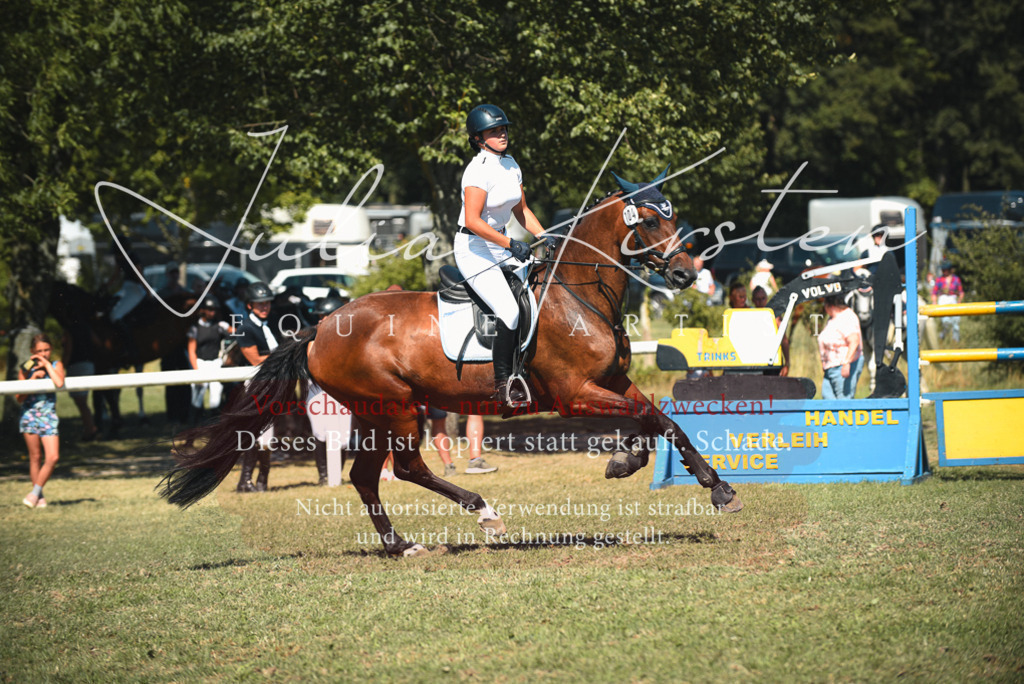 DSC_7246 | Pferde- und Turnierfotografie in Westsachsen. Pferdeportraits, Auftragszeichnungen und intuitive Kunst.