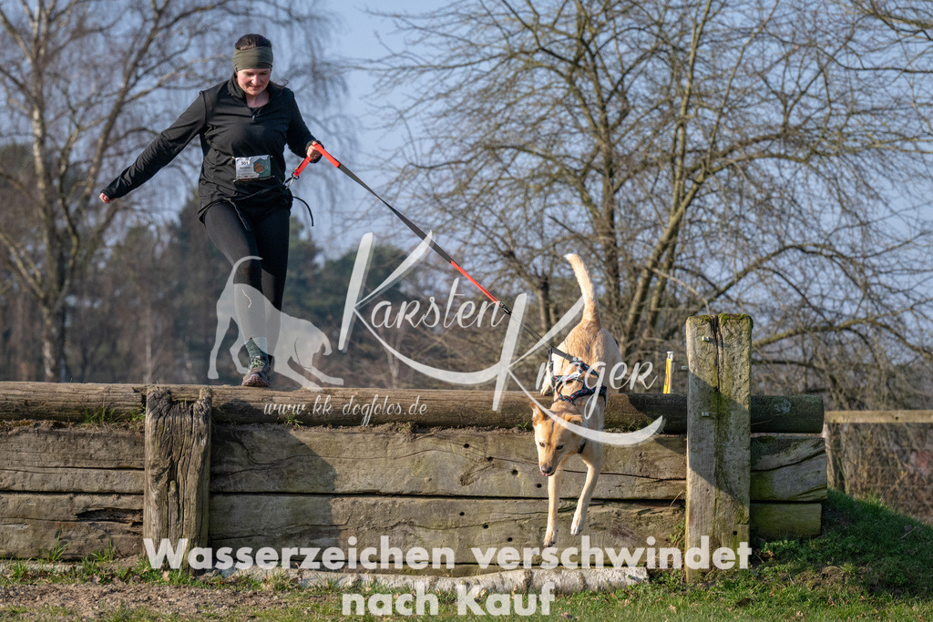 _ZZ93648 | kk-dogfotos