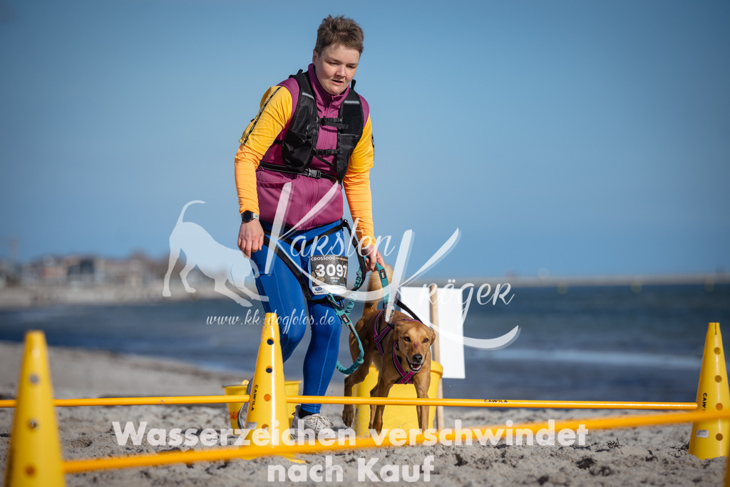 1356_ZZ94469 | kk-dogfotos
