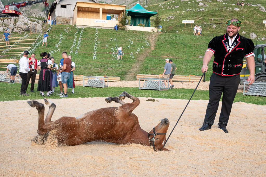 Schwingen -  Schwägalpschwinget 2023 | Schwägalp, 20.8.23, Schwingen - Schwägalpschwinget.