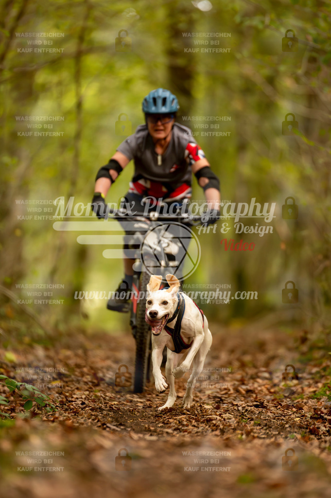TSB_2023_E1_Bike-79 | PayLife