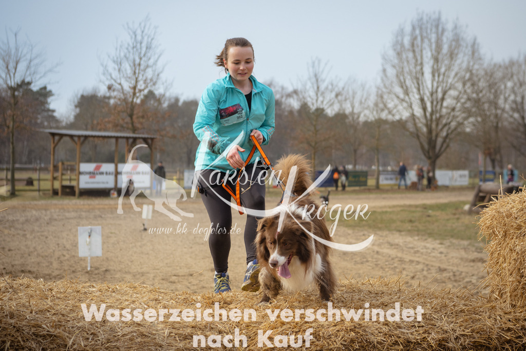 1036_ZZ96447 | kk-dogfotos