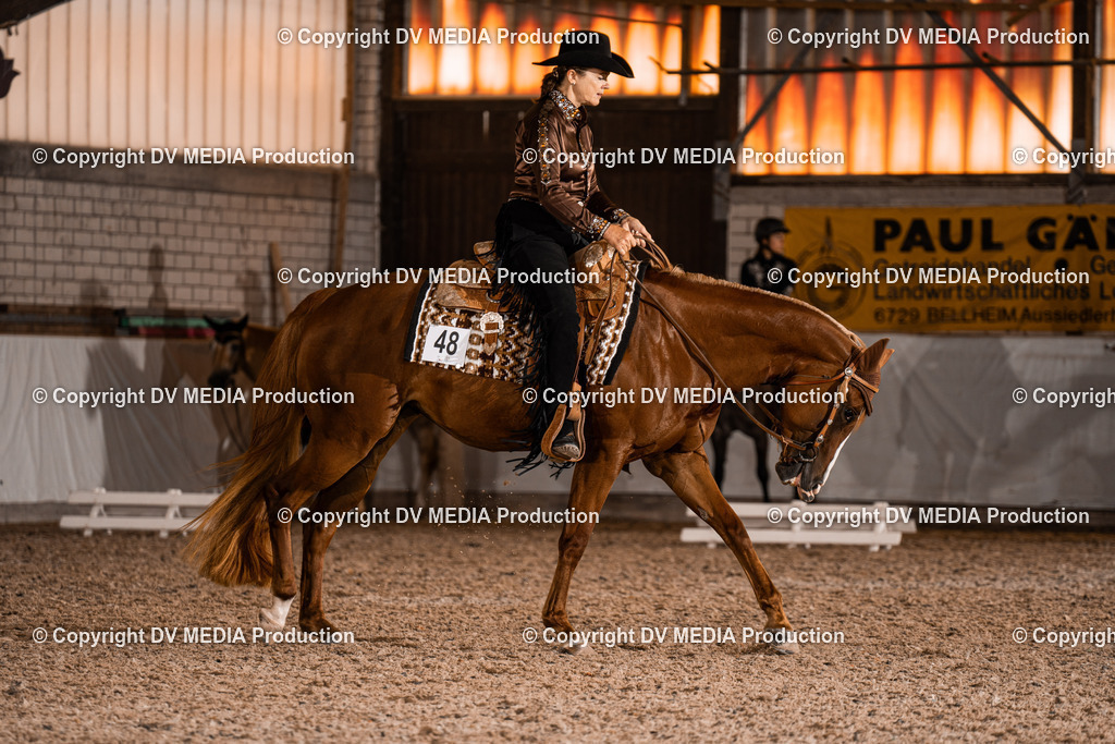 ZH100146 | dv-media-shop - Realisiert mit Pictrs.com