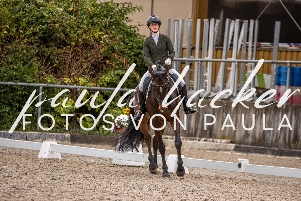 IMG_2907 | Erleben Sie dynamische Sport- und emotionale Tierfotografie in Süddeutschland mit Fotos von Paula. Spezialisiert auf Pferde- und Hundefotografie sowie Sportevents. Kontaktieren Sie mich für einzigartige und ausdrucksstarke Bilder Ihrer besonderen Momente.